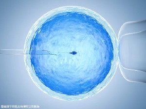 供卵代怀生男宝代生包成功